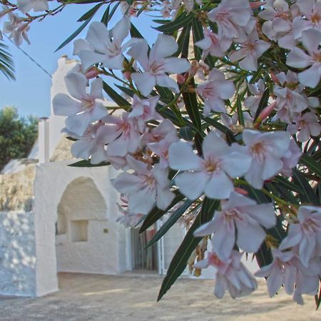 Vila Trulli Del Sole Donato Cisternino Exteriér fotografie