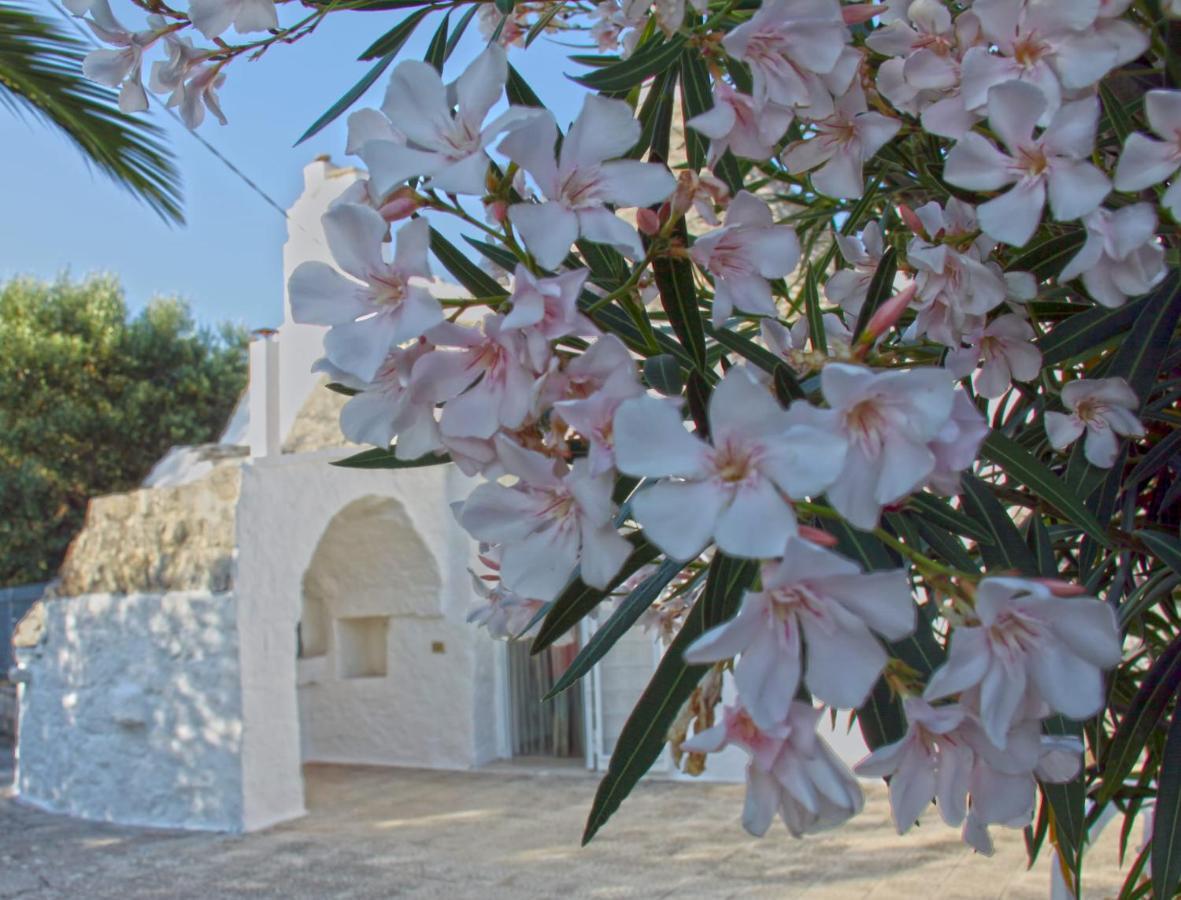 Vila Trulli Del Sole Donato Cisternino Exteriér fotografie